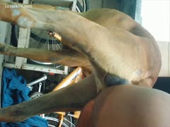 In this episode of beastiality, a beast screws a cock-hungry twink in the anal region.